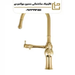 شیر ظرفشویی شلنگدار ( شاوری ) مدل البا طلا براق ( دو منظوره شلنگدار )