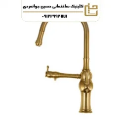 شیر ظرفشویی شلنگدار ( شاوری ) مدل البا طلا مات ( دو منظوره شلنگدار )