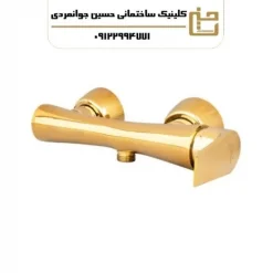 شیر ظرفشویی مدل آروین طلا براق
