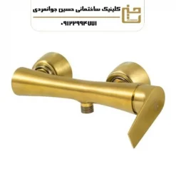 شیر ظرفشویی مدل آروین طلا مات