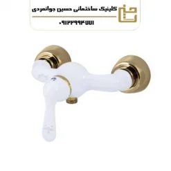 شیر ظرفشویی مدل ساونا سفید طلا